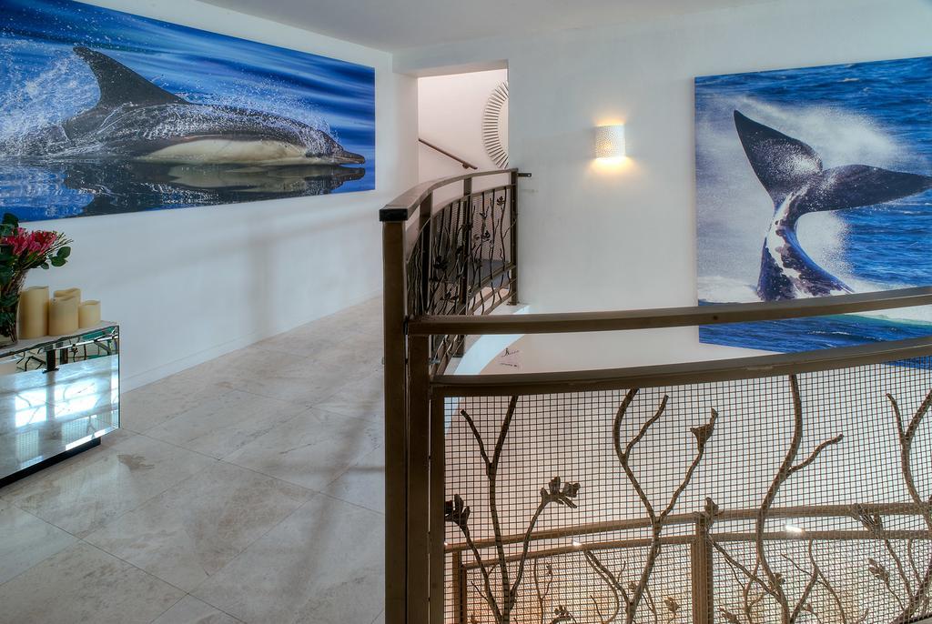 Sea Star Cliff Villa Gansbaai Exterior photo